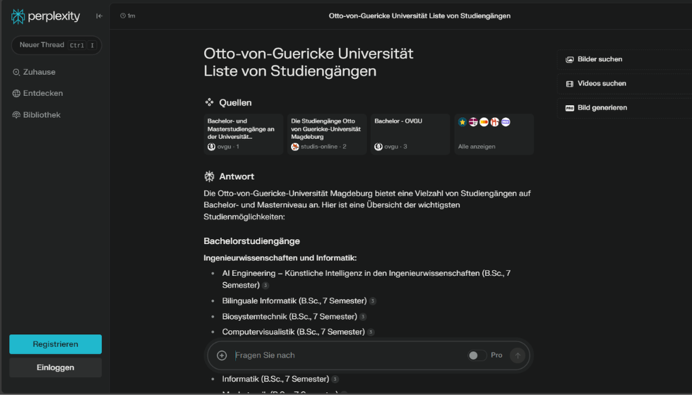 Perplexity Screenshot 1